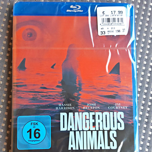 Leonine dangerous animals - dangerous,