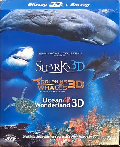 Dolphins whales sharks ocean - &, whales/sharks/ocean